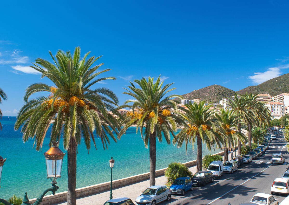 goedkoop cruisen cruise outlet Corsica palmbomen