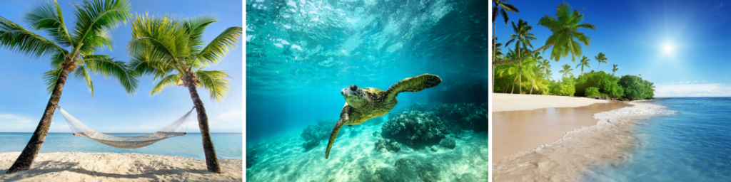 Cruisebestemmingen in het Caribisch gebied