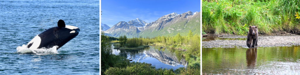 Cruisebestemmingen in Alaska