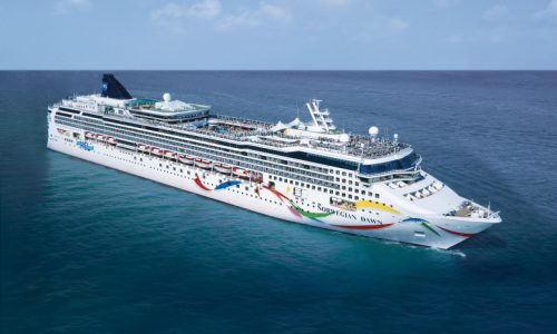 ncl_DAWN_Dolphin_side_at_sea